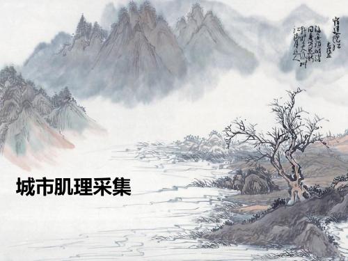 城市肌理采集2