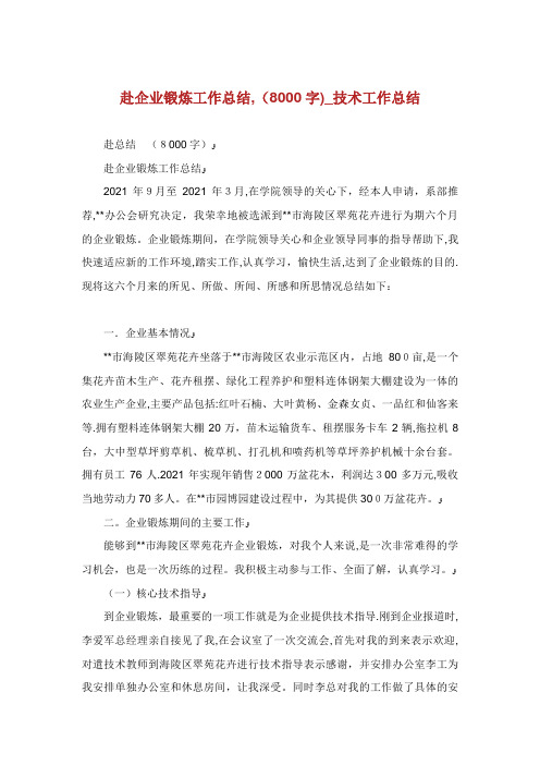 赴企业锻炼工作总结,(8000字)_技术工作总结