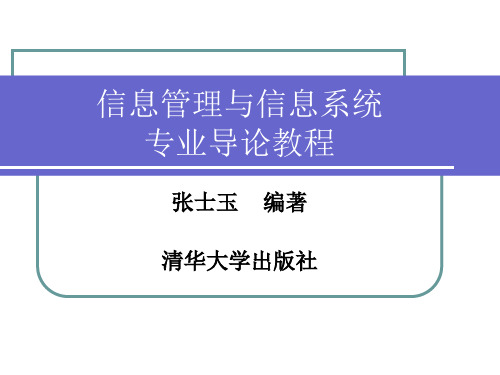 信息管理与信息系统专业导论教程-38页精品文档