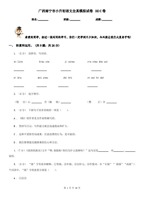 广西南宁市小升初语文全真模拟试卷 (6)C卷