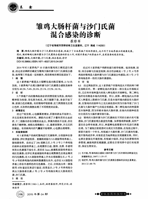 雏鸡大肠杆菌与沙门氏菌混合感染的诊断