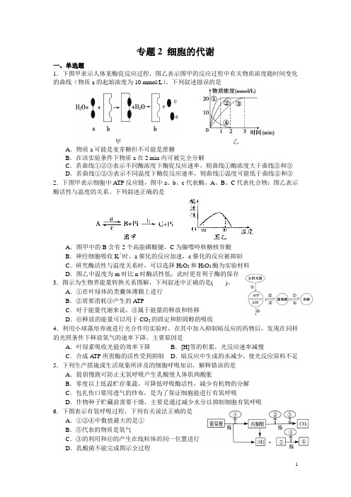 专题2   细胞代谢