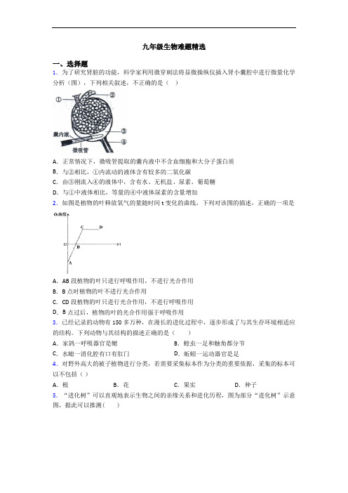 九年级生物难题精选