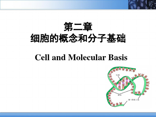 医学细胞生物学：第二章 细胞的概念和分子基础