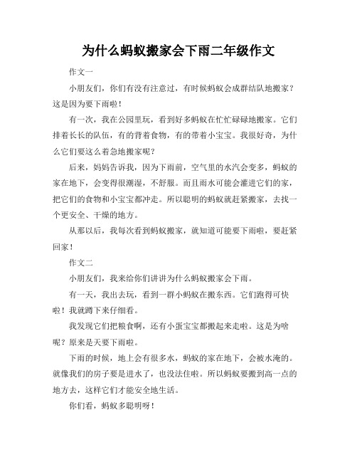 为什么蚂蚁搬家会下雨二年级作文