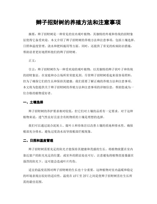 辫子招财树的养殖方法和注意事项