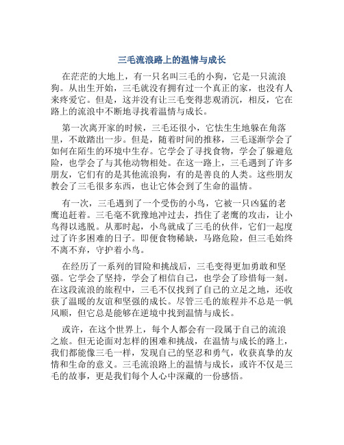 三毛流浪路上的温情与成长