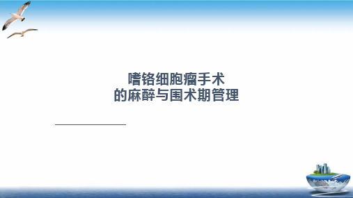 嗜铬细胞瘤麻醉PPT课件