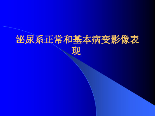 泌尿生殖正常和基本病变影像表现