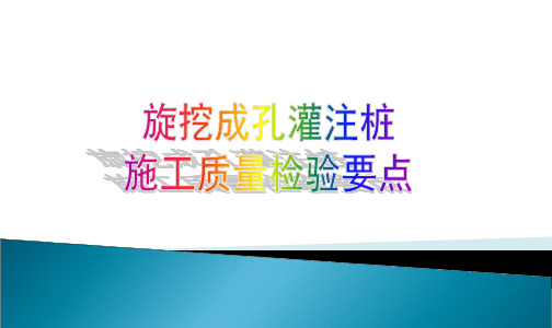 旋挖成孔灌注桩质量检验要求演示