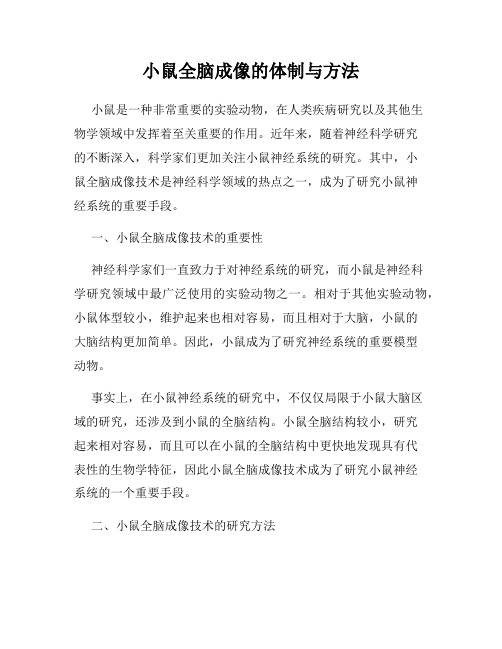 小鼠全脑成像的体制与方法