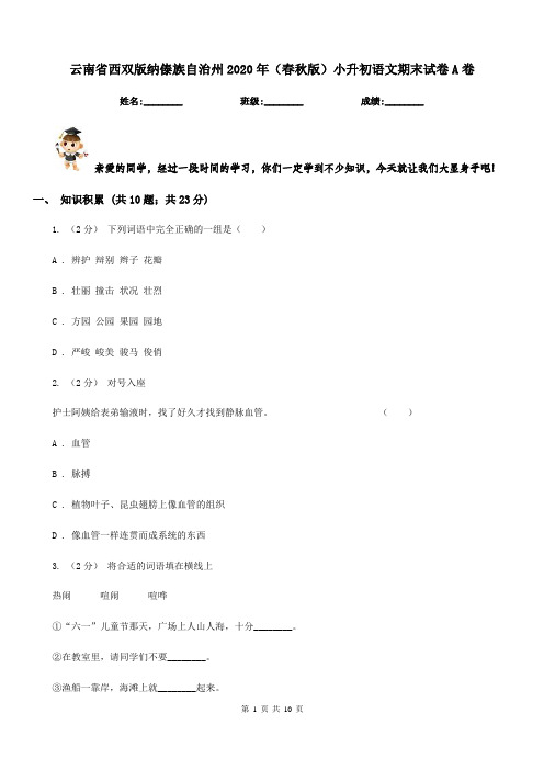 云南省西双版纳傣族自治州2020年(春秋版)小升初语文期末试卷A卷