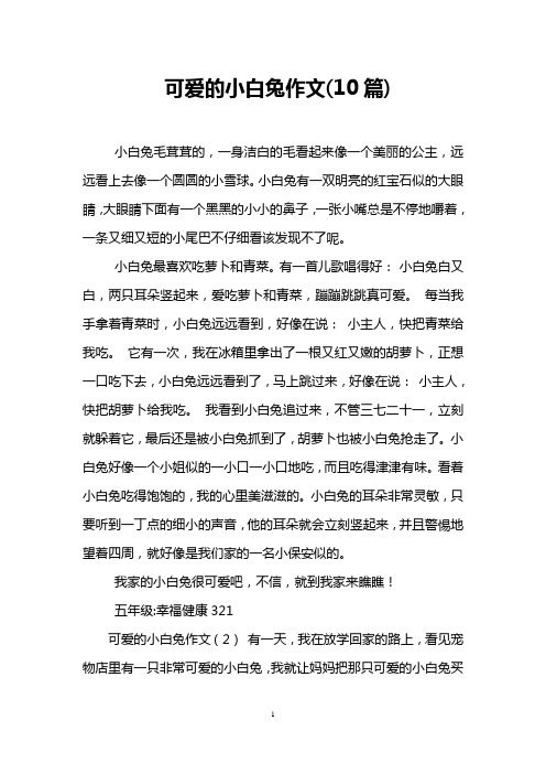 可爱的小白兔作文(10篇)