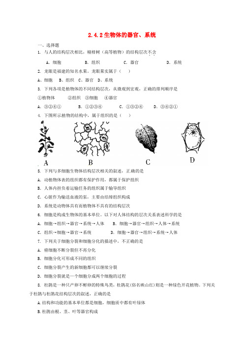 七年级生物上册2.4.2生物体的器官系统同步练习新北师大版