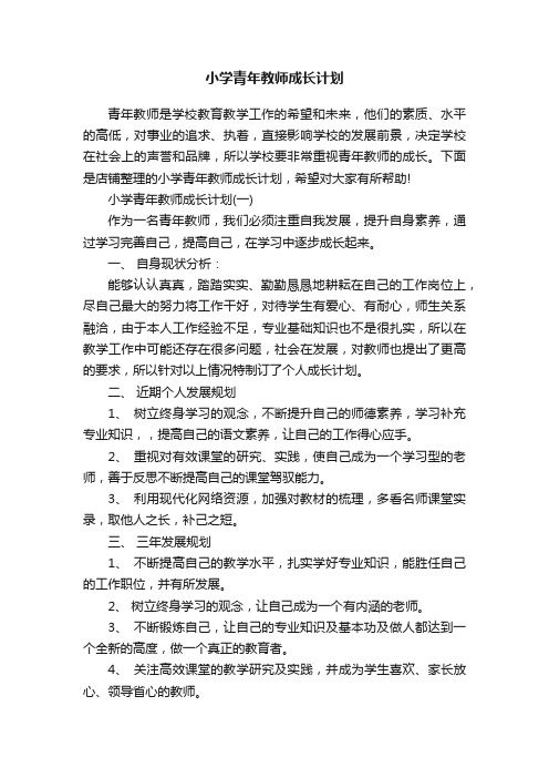 小学青年教师成长计划