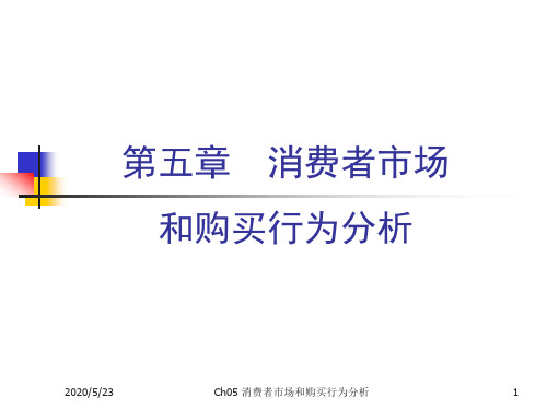 《市场营销学》课件5消费者市场和购买行为分析