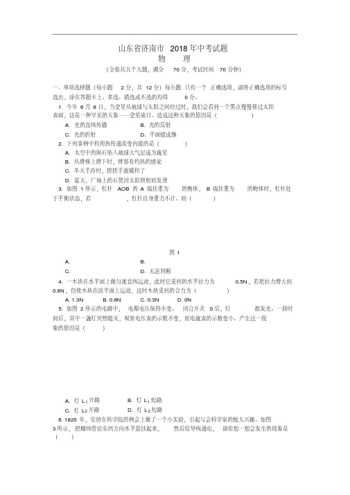 最新-山东省济南市2018年中考试题物理精品