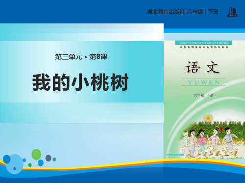 《我的小桃树》PPT【精选推荐课件】