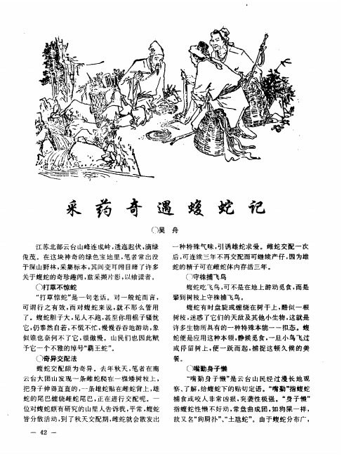 采药奇遇蝮蛇记