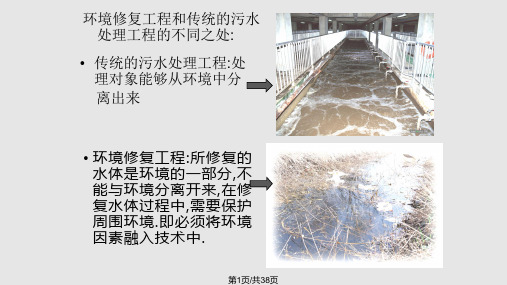 水体修复技术PPT课件