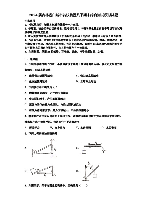 2024届吉林省白城市名校物理八下期末综合测试模拟试题含解析