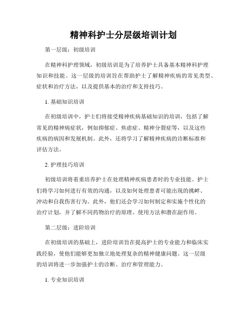 精神科护士分层级培训计划