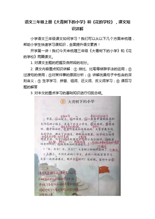 语文三年级上册《大青树下的小学》和《花的学校》，课文知识详解