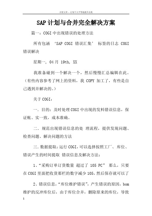 SAP计划与合并完全解决方案