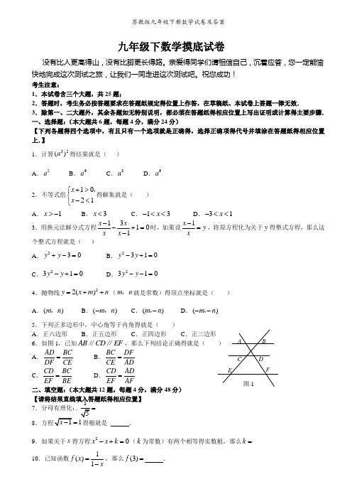 苏教版九年级下册数学试卷及答案