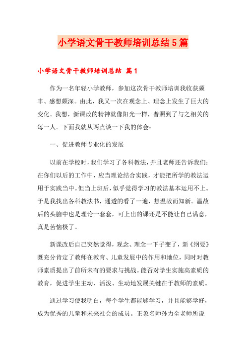 【多篇】小学语文骨干教师培训总结5篇