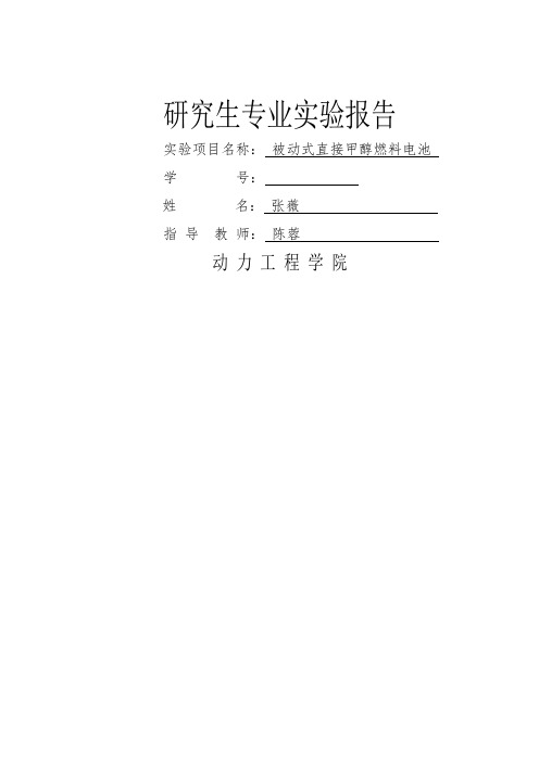 直接甲醇燃料电池实验报告