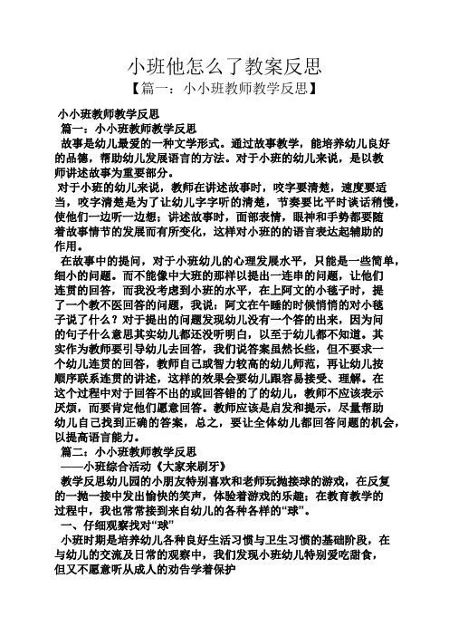 小班他怎么了教案反思