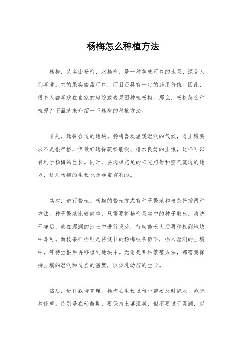 杨梅怎么种植方法