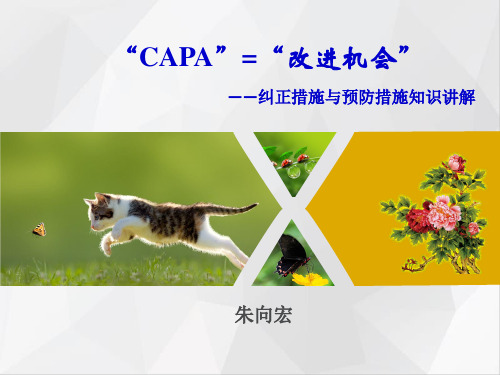 CAPA知识培训课件