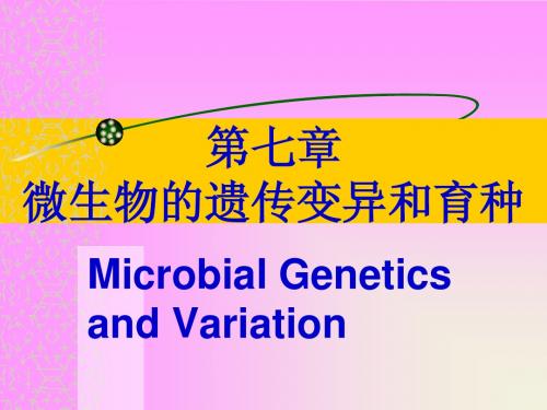 微生物的遗传变异和育种