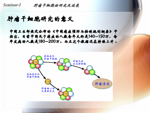 肿瘤干细胞的研究及进展