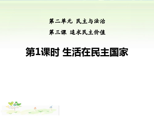 《生活在民主国家》追求民主价值PPT课件下载 图文