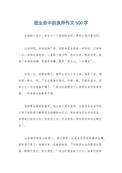 我生命中的良师作文500字