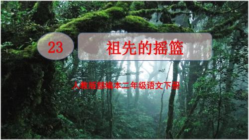 人教版部编本二年级语文下册《23祖先的摇篮》精美课件