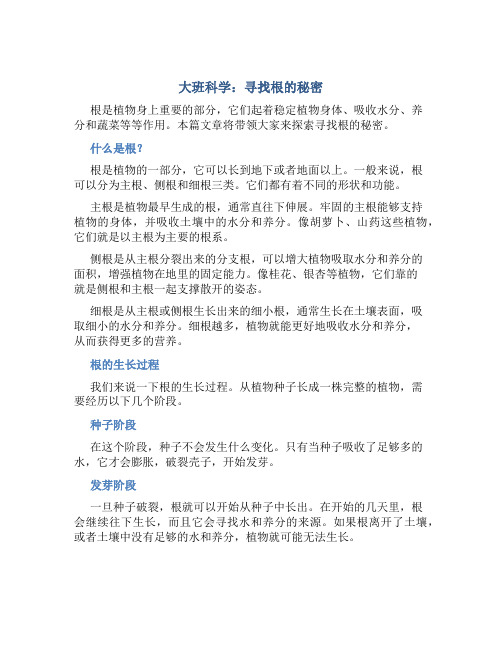 大班科学：寻找根的秘密