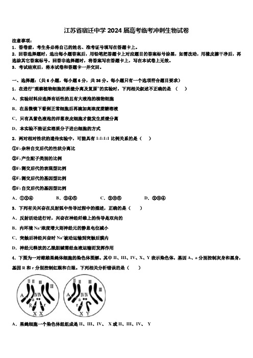 江苏省宿迁中学2024届高考临考冲刺生物试卷含解析