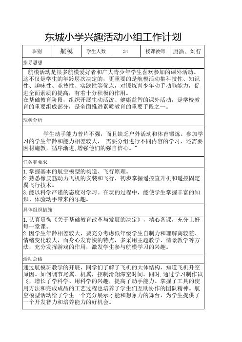 东城小学兴趣活动小组工作计划