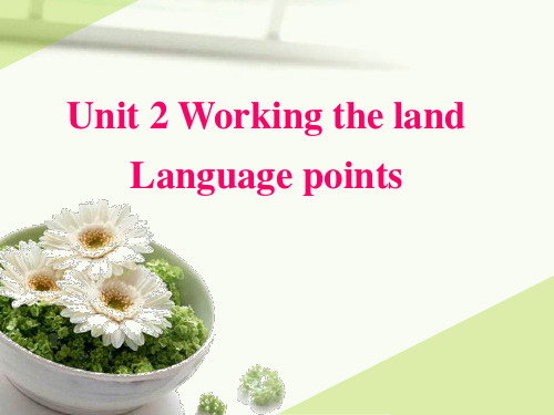 重庆市大学城第一中学校重庆大学版高中英语必修四课件：unit1languagepointsperiod3(共21张PPT)