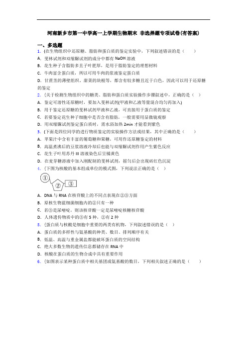 河南新乡市第一中学高一上学期生物期末 非选择题专项试卷(有答案)