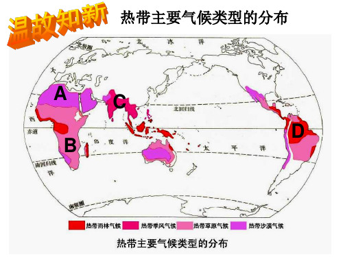 亚热带、温带气候类型