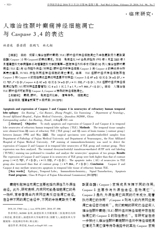 人难治性颞叶癫痫神经细胞凋亡与 Caspase 3,4的表达要点