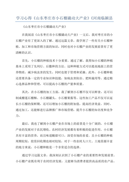 学习心得《山东枣庄市小石榴撬动大产业》《河南临颍县