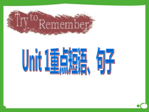 2014新人教版九年级英语Unit 1重点短语、句子
