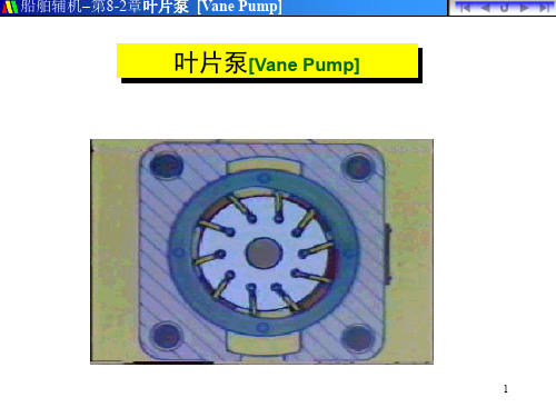 叶片泵