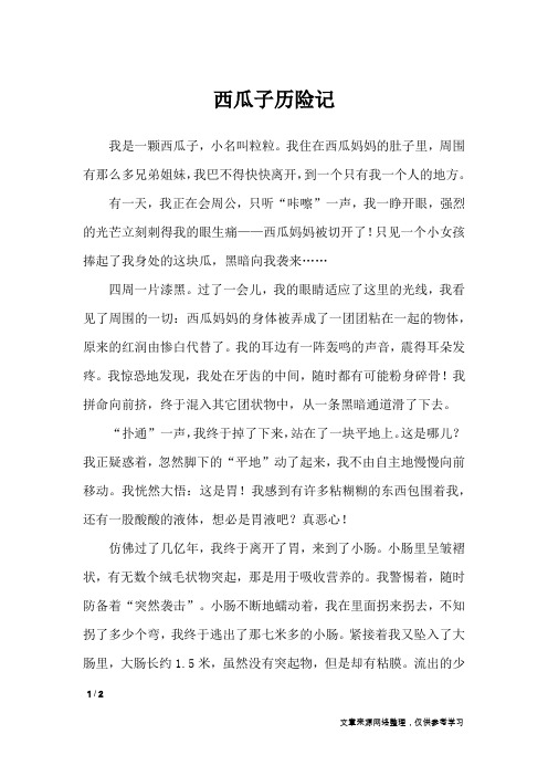 西瓜子历险记_初中作文